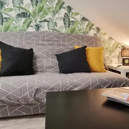 Apartamento 2 Charmants * * Colmar