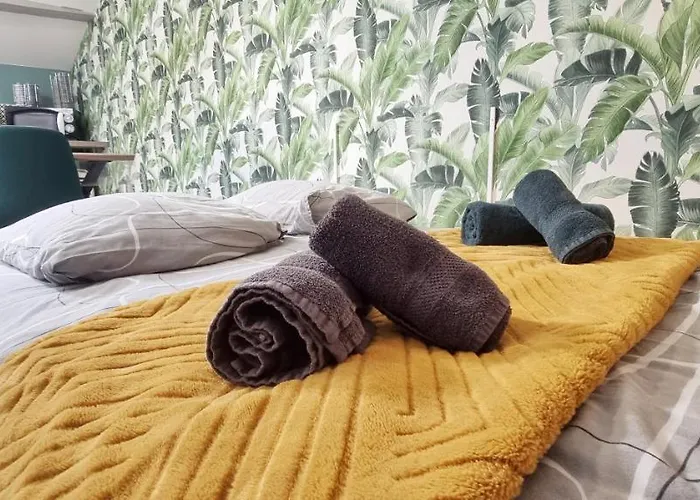 Appartamento 2 Charmants * * Colmar